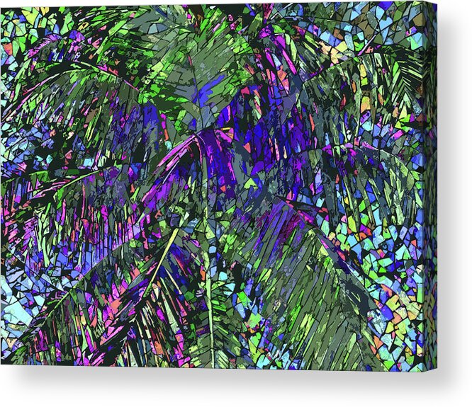 Palm Acrylic Print featuring the photograph Palm 704 by Corinne Carroll