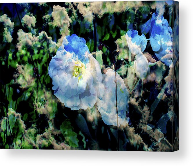 White Acrylic Print featuring the photograph Partly Sunny with a Chance of Tulips by Mike McBrayer