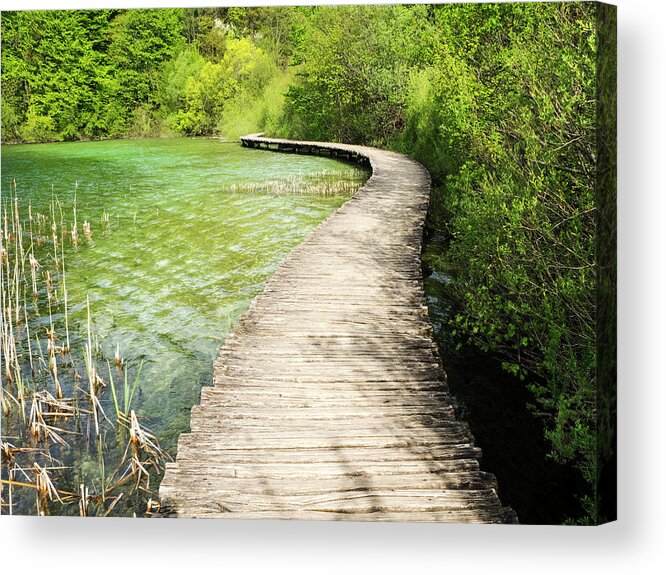 Attraction Acrylic Print featuring the photograph Pathway to Waterfalls 1 by Eggers Photography