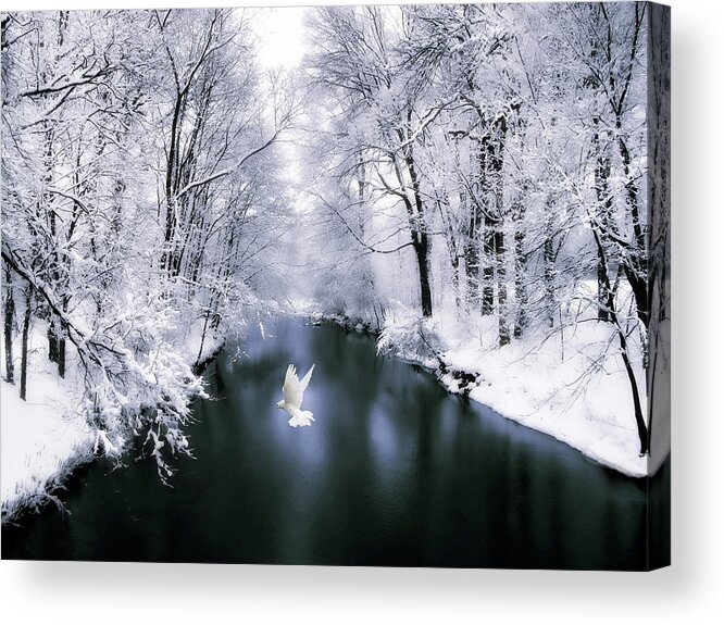 Winter Acrylic Print featuring the photograph Peace on Earth 2 by Jessica Jenney