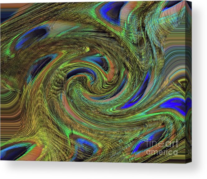 Peacock Acrylic Print featuring the photograph Peacock Feather Art 15 by D Hackett