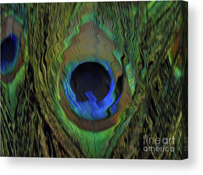 Guinea Acrylic Print featuring the photograph Peacock Feather Art 17 by D Hackett