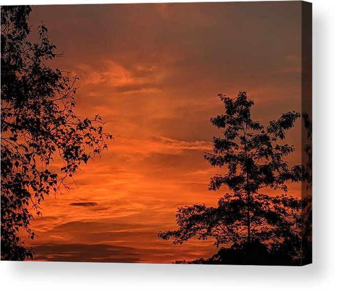 Acrylic Print featuring the photograph Pre-Dawn in the Neighborhood by Brad Nellis