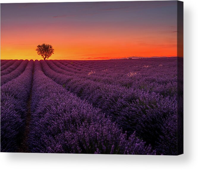 Aix-en-provence Acrylic Print featuring the photograph Provence Sunset by Serge Ramelli