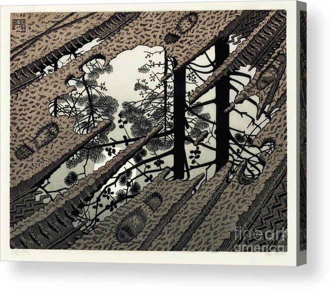 Engraving Acrylic Print featuring the drawing Puddle by MC Escher