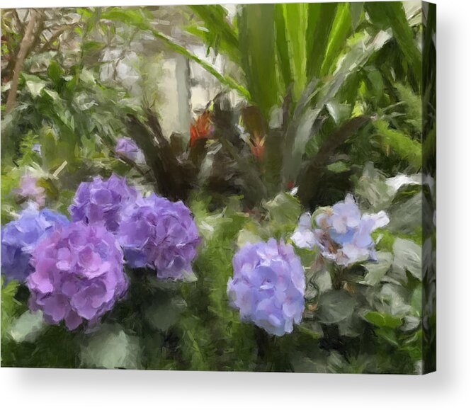 Flowers Acrylic Print featuring the painting Purple and Blue Hydrangeas by Gary Arnold