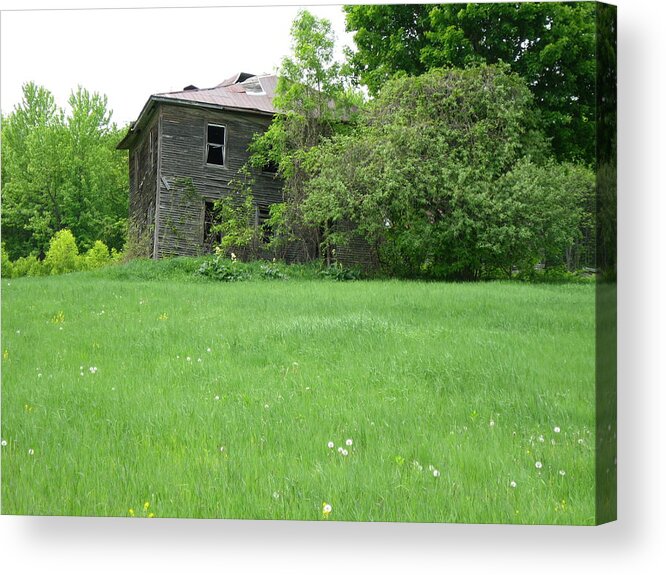 Abandoned Farmhouses Acrylic Print featuring the photograph Read Some Zola by Richard Stanford