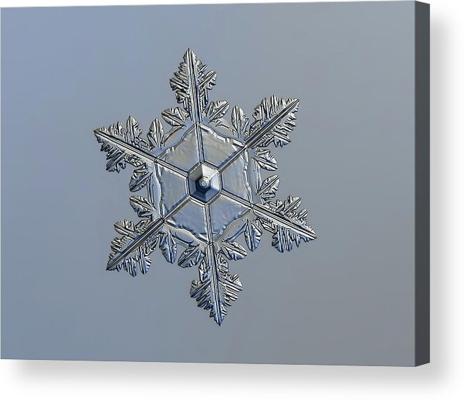 Snowflake Acrylic Print featuring the photograph Real snowflake 2016-01-03_1 by Alexey Kljatov