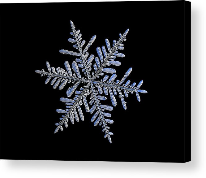 Snowflake Acrylic Print featuring the photograph Real snowflake 2018-12-18_1 by Alexey Kljatov