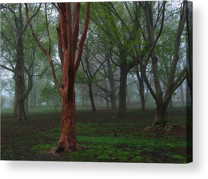 Red Acrylic Print featuring the photograph Red by Juergen Roth