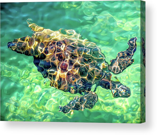David Lawson Photography Acrylic Print featuring the photograph Refractions - Nature's Abstract by David Lawson