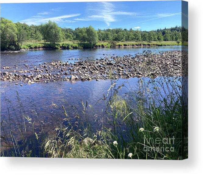 River Spey Acrylic Print featuring the photograph River Spey in Summer by Phil Banks