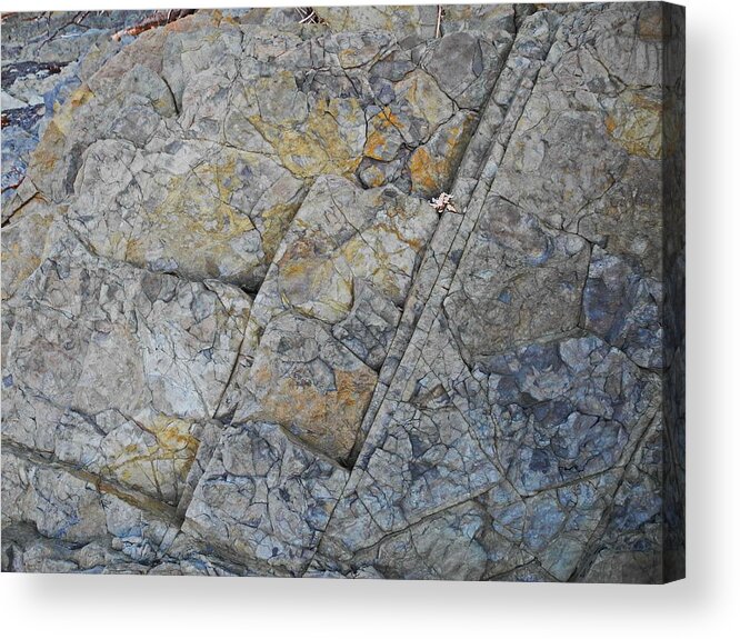 Partridge Island Acrylic Print featuring the photograph Rockface by Alan Norsworthy