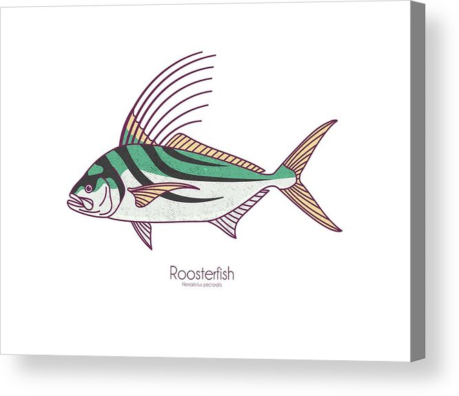 Roosterfsh Acrylic Print featuring the digital art Roosterfish by Kevin Putman