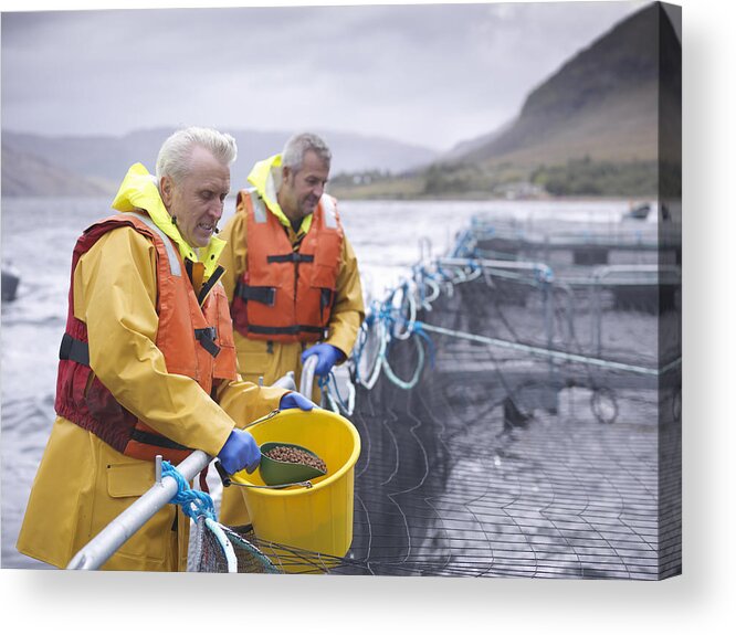 Working Acrylic Print featuring the photograph Salmon farmers feeding fish on pontoon of Scottish salmon farm over sea loch by Monty Rakusen