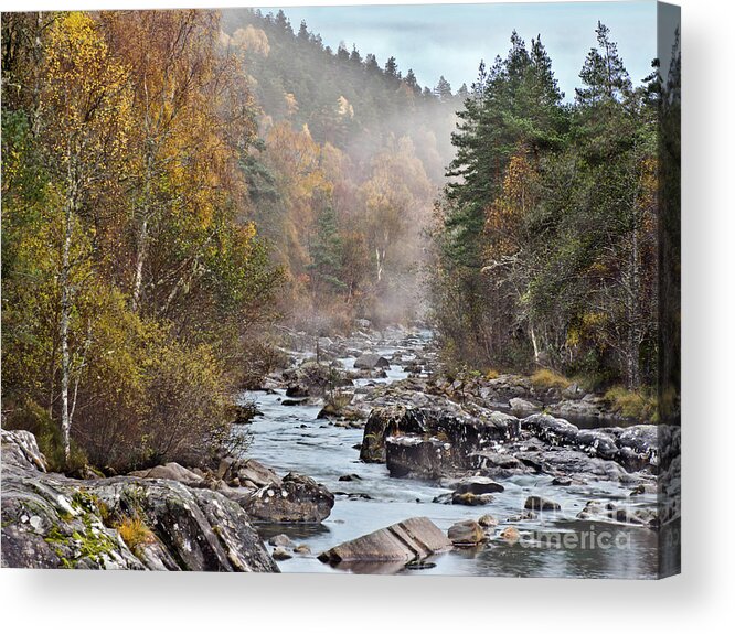 Fog Beauty Over River Scottish Golden Autumn Stones Boulders Cobbles Gravel Pebble Rocks Scree Birches Yellow Green Woods Forest Nature Elements Landscape View Scenery Water Flow Beautiful Delightful Pretty Calm Restful Relaxing Relaxation Serenity Atmospheric Aesthetic Mindfulness Magnificent Powerful Stunning Walking Art Artistic Painterly Imaginable Beauty Fresh Untouched Nobody Solitary Delicate Gentle Scotland River Scottish Highlands Uk Impression Expressive Misty Fall Vista Smart River Acrylic Print featuring the photograph Fog Beauty Over River Scottish Golden Autumn by Tatiana Bogracheva