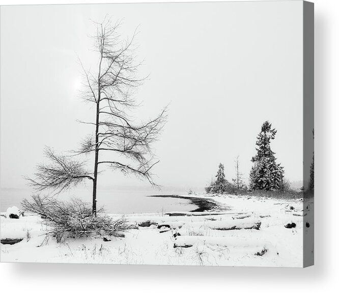 Landscape Acrylic Print featuring the photograph Seaborne Trees and Sun Black and White by Allan Van Gasbeck