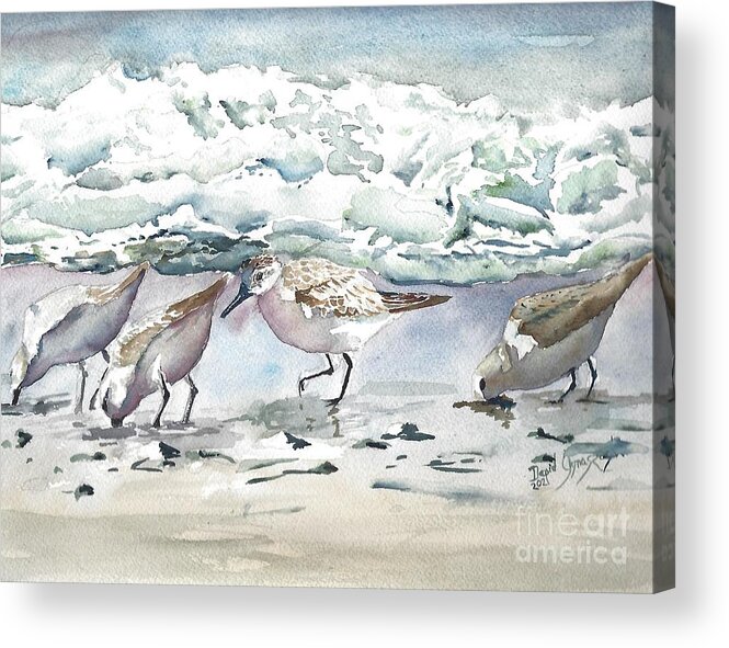 Sand Pipers Ocean Birds Surf Acrylic Print featuring the painting Shorebirds by David Ignaszewski