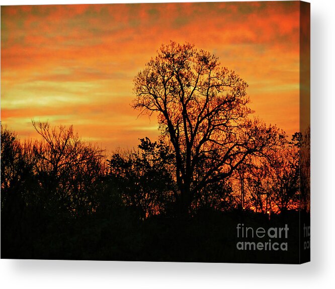 Environment Acrylic Print featuring the photograph Silhouettes and Sunset Skies by On da Raks