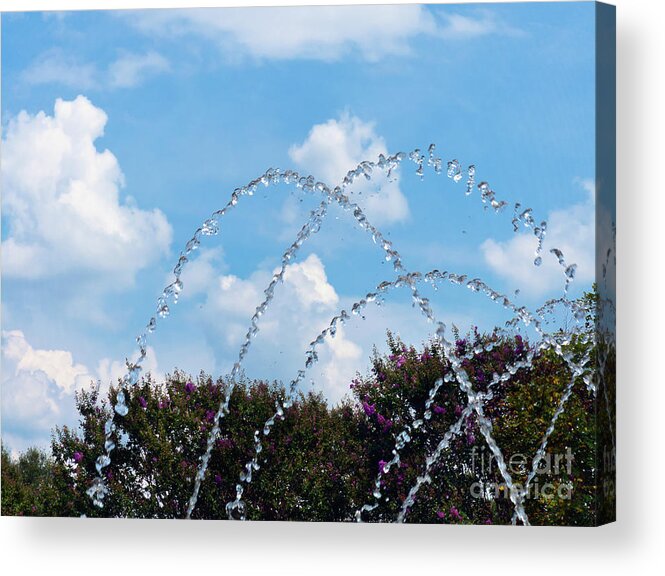Garden Acrylic Print featuring the photograph Sky and Water Stopped In Motion by Amy Dundon