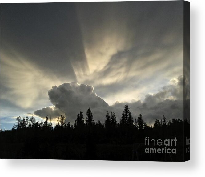 Chilcotin Plateau Acrylic Print featuring the photograph Sky light by Nicola Finch
