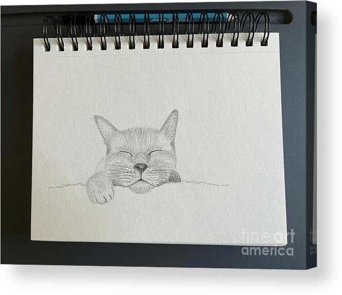  Acrylic Print featuring the drawing Sleeping Face Sketch by Donna Mibus