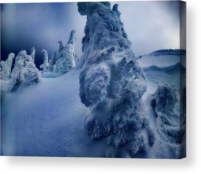 Tree Acrylic Print featuring the photograph Snow Covered Trees 5 by Pelo Blanco Photo
