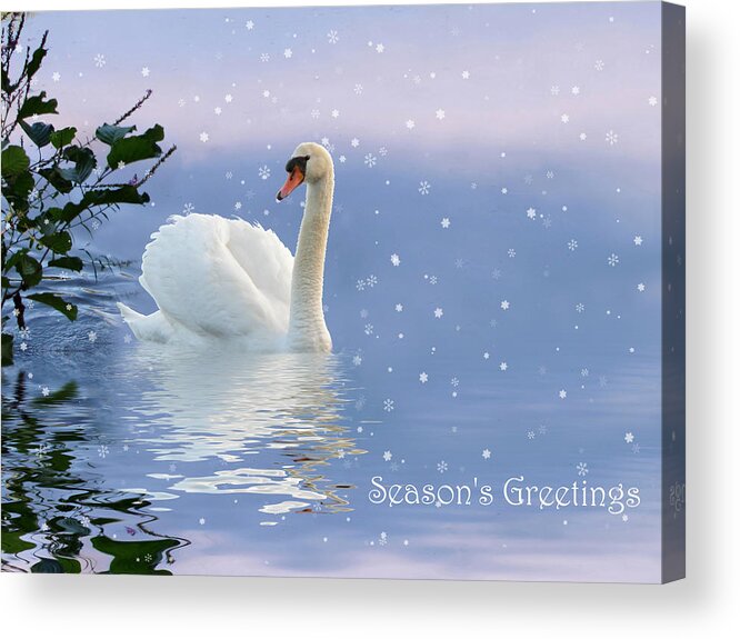 Swan Acrylic Print featuring the photograph Snow Swan II by Jessica Jenney