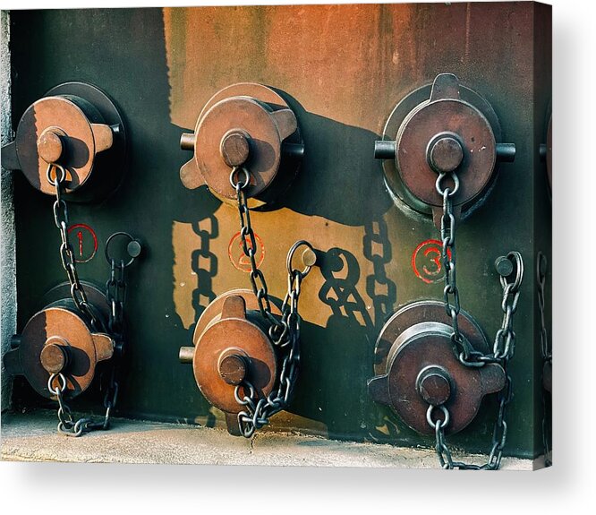 Rust Acrylic Print featuring the photograph Street Jewels by Eena Bo