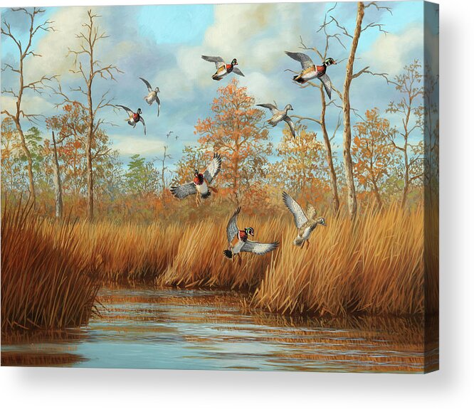 Wood Ducks Acrylic Print featuring the painting Sudden Arrivals by Guy Crittenden