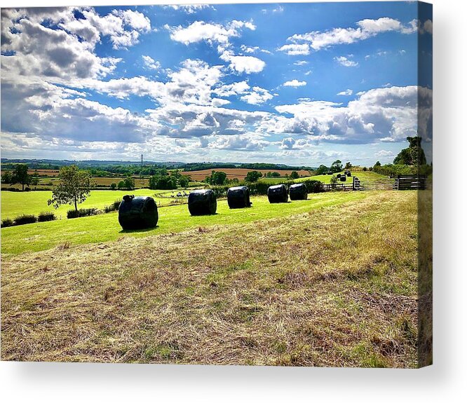 Summer Acrylic Print featuring the photograph Summer Harvest by Gordon James
