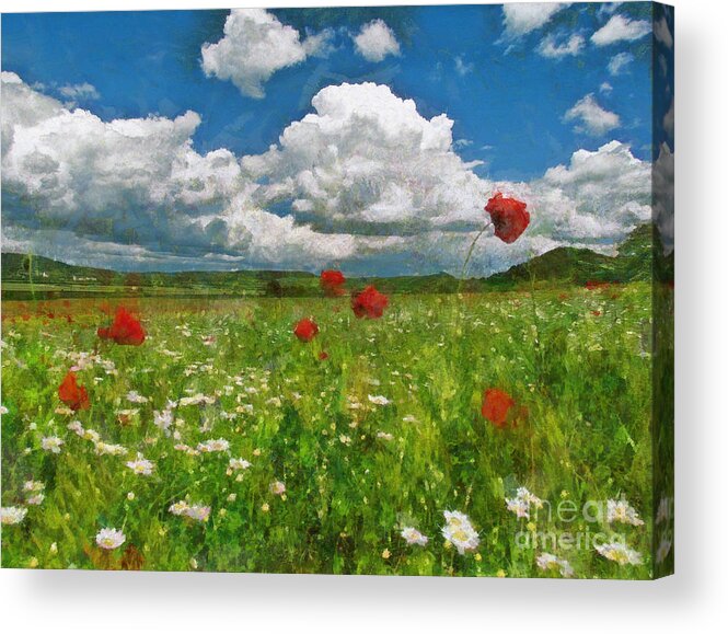 Landscape Acrylic Print featuring the painting Summer landscape by Alexa Szlavics