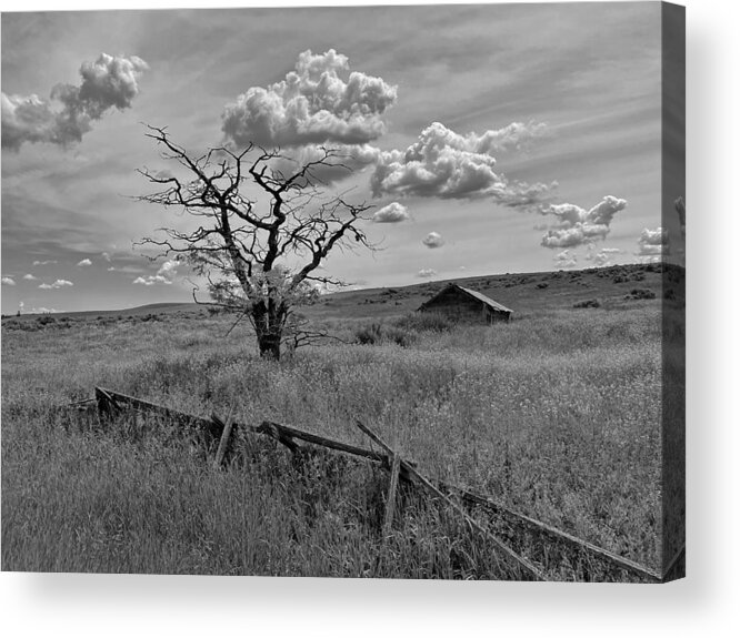 Tree Acrylic Print featuring the photograph Summer Storm Clouds by Jerry Abbott