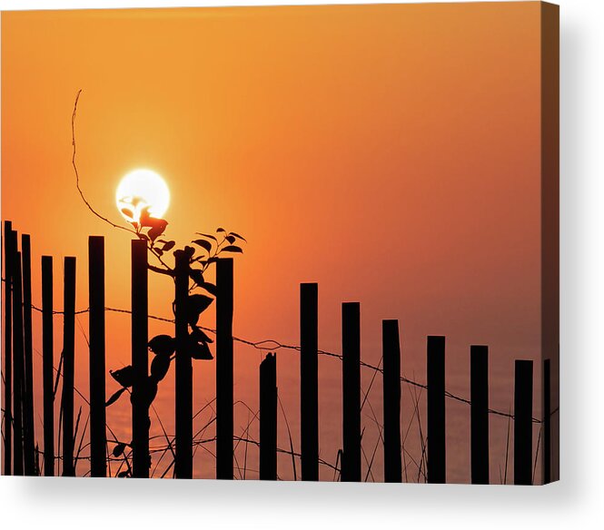 Summertime Acrylic Print featuring the photograph Summers End by Sylvia Goldkranz