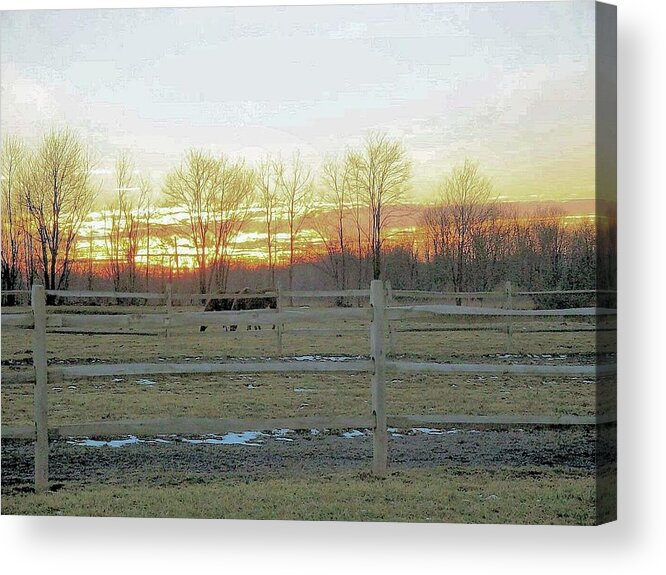 Sunset Acrylic Print featuring the photograph Sun Setting on horses by Pour Your heART Out Artworks