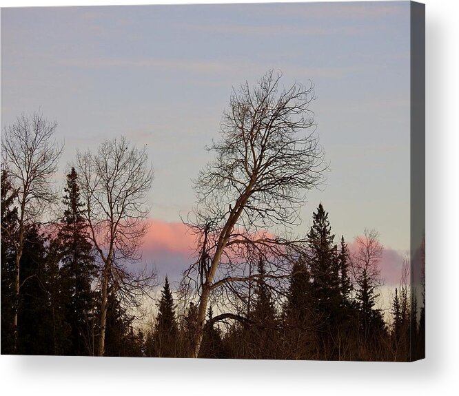 Sunset Acrylic Print featuring the photograph Sunset by Nicola Finch