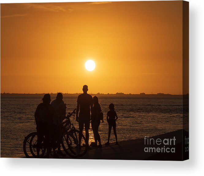 Sunset Acrylic Print featuring the photograph Sunset over Tampa Bay in Silhouette by L Bosco