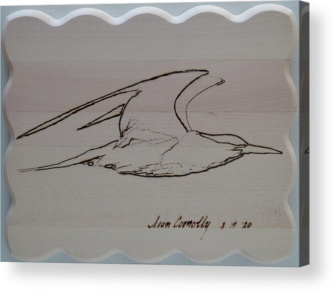 Pyrography Acrylic Print featuring the pyrography Tern Loose by Sean Connolly
