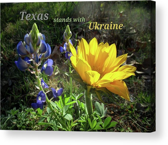 Texas Acrylic Print featuring the photograph Texas Stands With Ukraine by W Craig Photography