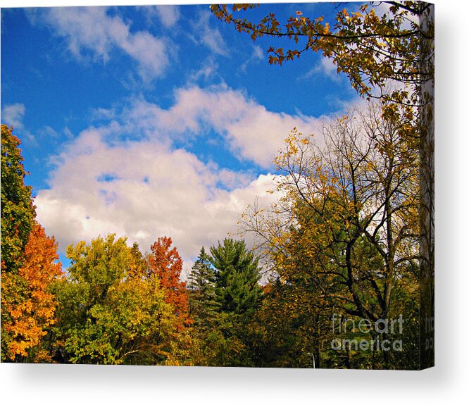 Nature Acrylic Print featuring the photograph The Changing Colors of Fall in Illinois by Frank J Casella