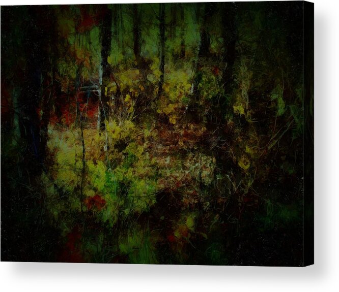 Woods Acrylic Print featuring the mixed media The Woods in October by Christopher Reed