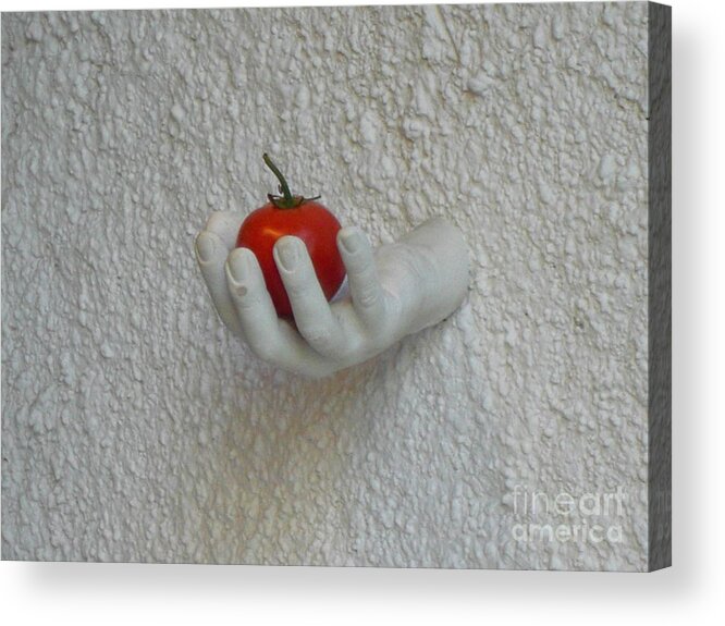 Art Acrylic Print featuring the photograph Tomato by Thomas Schroeder