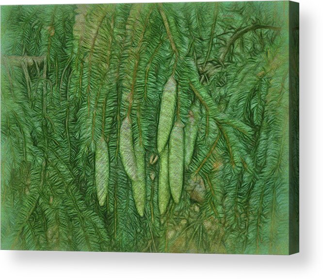 Green Acrylic Print featuring the photograph Tomorrow's dinner by Leslie Montgomery