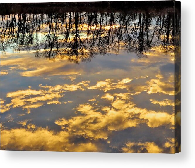 Reflections Acrylic Print featuring the photograph Topsy-Turvy Reflection at the Water's Edge by Linda Stern