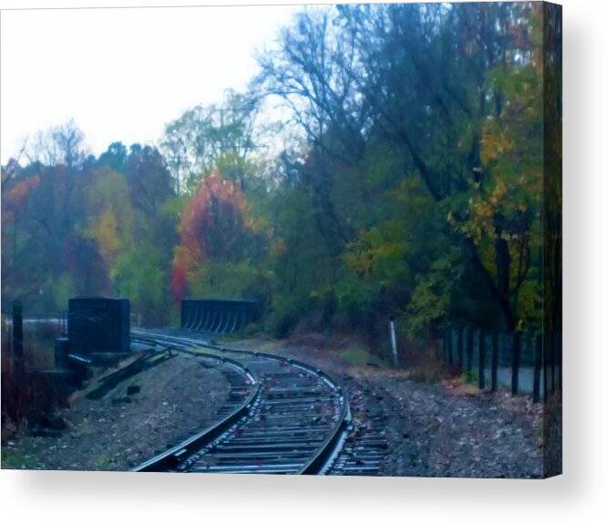  Acrylic Print featuring the photograph Towners Woods Tracks by Brad Nellis
