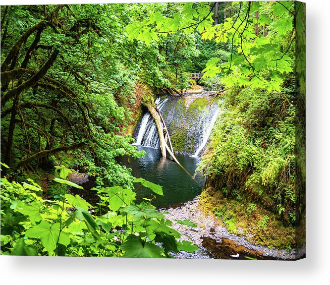 Bridge Acrylic Print featuring the photograph Trail of Ten Falls by Leslie Struxness