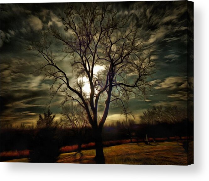 Tree Acrylic Print featuring the photograph Tree at Sunset by Christopher Reed