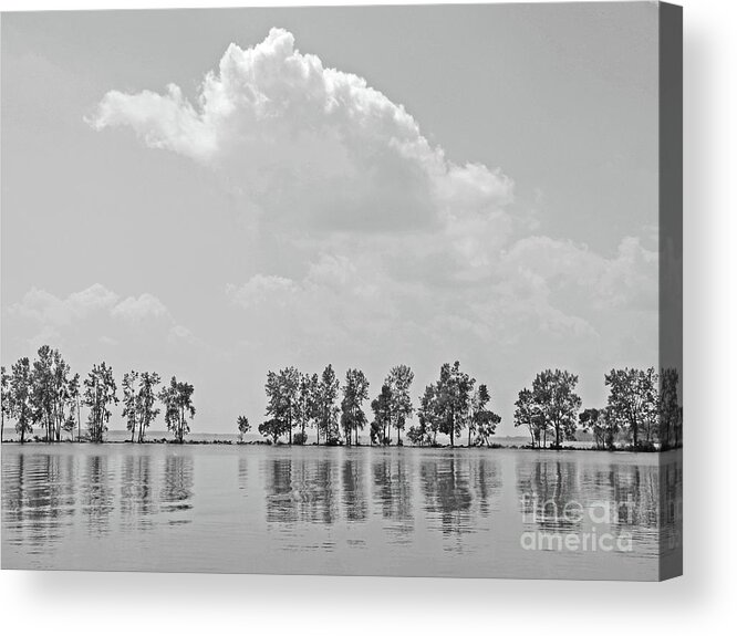 Landscape Acrylic Print featuring the photograph Tree Line by Ann Horn