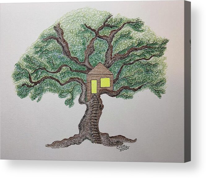 Treehouse Acrylic Print featuring the drawing Treehouse by Colette Lee