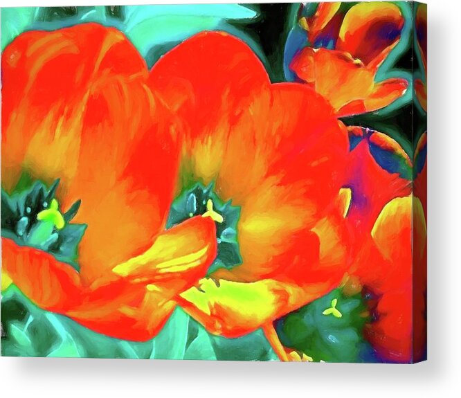 Tulips Acrylic Print featuring the photograph Tulip 1 by Pamela Cooper